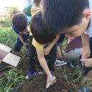 진천지역아동센터 이미지