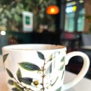 수피아410