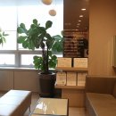 연세나루치과의원 이미지