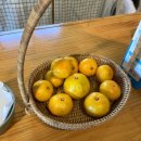 아라파파 이미지