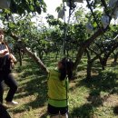 행전어린이집 이미지