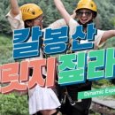 가평브릿지짚라인