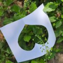 동산숲협동조합 이미지