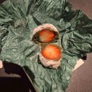 (주)현대서원주서비스 이미지