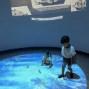 조선해양문화관 이미지