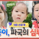 11월16일 내 아이의 사생활 선공개 '허그 삼둥이' 34개월 베이비들의 첫 심부름 대장정 영상 이미지