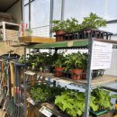 운정농약사 운정농원 이미지