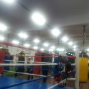 최기수복싱체육관 이미지