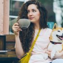 털복숭이친구들 이미지