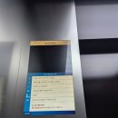 모닝클럽종로센터 | [종로 수영장] 서울스포츠클럽 자유수영 1년권 후기