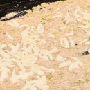 랜드마크 원 이미지