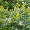 천을농장 이미지