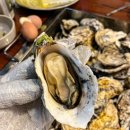 통굴통굴 이미지