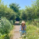 금모래민박 이미지