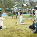 도란유치원 이미지