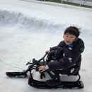 알프스마을영농조합법인 | 청양 아이랑 가볼만한 곳 2026년 칠갑산 얼음분수축제 [알프스마을영농조합법인]