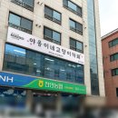 미모힐링카페 | 천안 두정동 야옹이네고양이카페 : 힐링 가득 고양이카페 데이트 후기