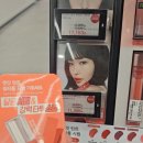 올리브영 동대구역사점 네이버블로그