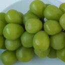 김천시포도수출유통영농조합법인 이미지