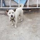 서진카센터 이미지