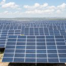 꿀벌태양광발전소 이미지