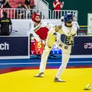 국제태권도 이미지