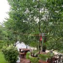 소나무집 민박 이미지