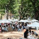 앙상블 포레 이미지