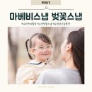 1221 | 수원야외촬영 28개월 아기 마메비스냅에서 벚꽃스냅 후기