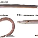 우리유통수산