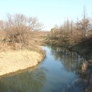 비봉인공습지 이미지