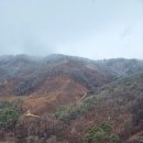 여송지성 이미지