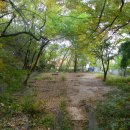 백운동천 이미지