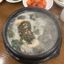 백년백세전통삼계탕 | [부산 동래 맛집] 40년 전통의 진한 맛! '백년백세토종삼계탕' 흑임자 삼계탕 후기