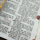 다복향 마라탕 | 매교역 마라탕 맛집 다복향 후기