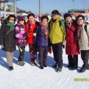 몽드림 Daum카페