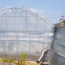 취평리 정류장 이미지