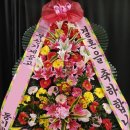 백합의원 | 부산 연제구 목화웨딩컨벤션 W웨딩홀 결혼식 축하화환, 마음을 담은 경조사 꽃배달 후기
