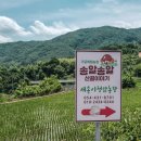 송알송알산골이야기 이미지