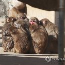 옹기종기 - 춘천시 효자로 73 | 옹기종기