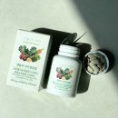 유정환경 | 채슬리 식이섬유정 내돈내산 힘들었던 변비 탈출 후기