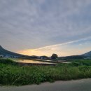 장흥비동돌담 이미지