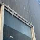 부성손칼국수 | 겨울되니 폭발해버린 식욕과 음주 ... 🍗🍣🍔🍲🍻