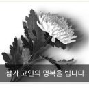 화산북로 Daum카페