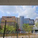 미래숲유치원 | 26학년도 2동탄 유치원 입학설명회 및 주요 현황 한눈에 보기