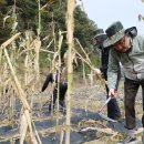 김영환농장 이미지