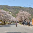 자진뱅이길 이미지