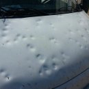 터보덴트 이미지