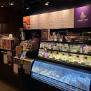 410 | 영천 카페 레이크410 우로지뷰 대형 카페 후기 (인스타갬성 테디케이크)