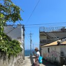 대권민박 이미지